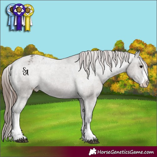 Horse Color:White Spotted Grullo Mushroom Varnish Rabicano 