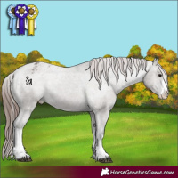 Horse Color:White Spotted Grullo Mushroom Appaloosa Rabicano