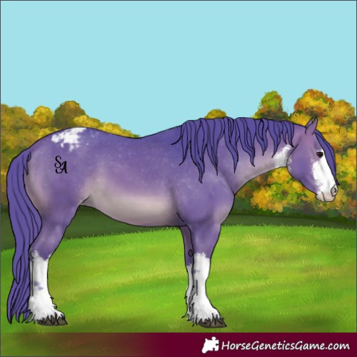 Horse Color:Watercolor White Spotted Brown Appaloosa 
