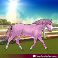 Horse Color:Watercolor Black Mushroom 