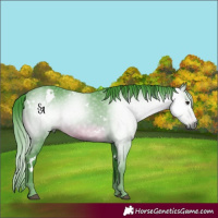 Horse Color:Gray Watercolor White Spotted Brown Mushroom 