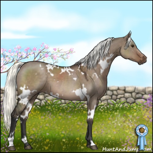 Horse Color:White Spotted Liver Red Dun Mushroom 