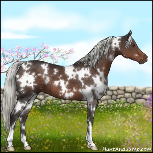 Horse Color:White Spotted Liver Chestnut Mushroom 