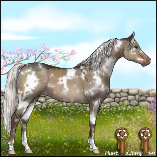 Horse Color:White Spotted Liver Red Dun Mushroom 