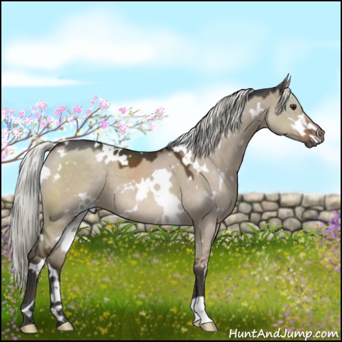 Horse Color:White Spotted Liver Red Dun Mushroom 