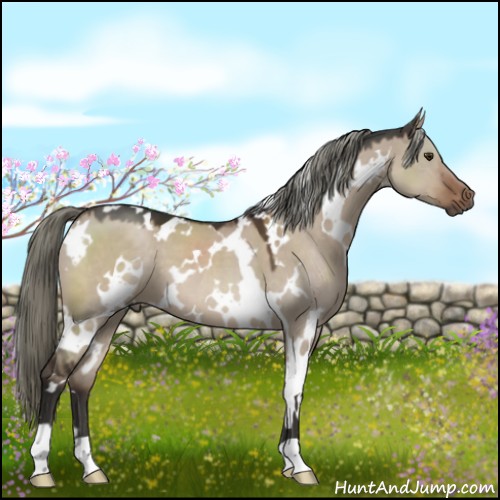 Horse Color:White Spotted Liver Red Dun Mushroom 