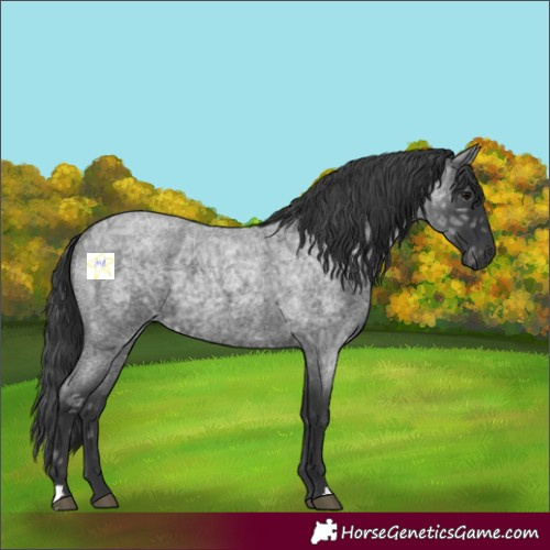 Horse Color:Blue Ice Roan 