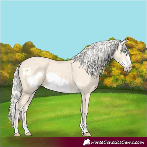 Horse Color:Cremello Ice Frame 