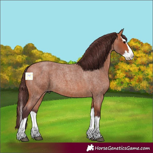 Horse Color:Chocolate Bay Roan Splash 
