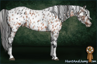 Horse Color:Blue Roan Tobiano Blanket and Brown Roan Blanket