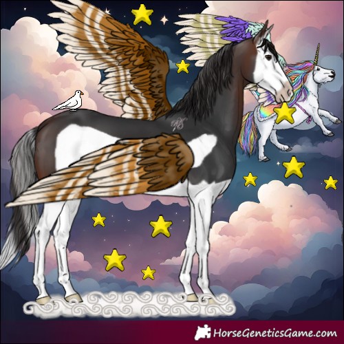 Horse Color:Brown Splash Frame 