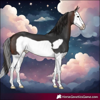 Horse Color:Brown Splash Frame