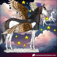 Horse Color:Brown Splash Frame 