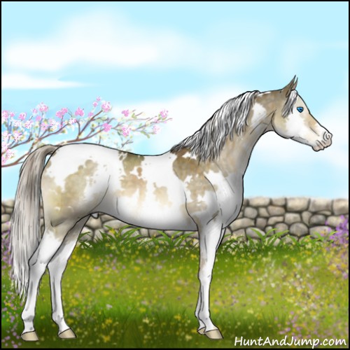 Horse Color:White Spotted Chocolate Palomino Dun Splash Brindle 