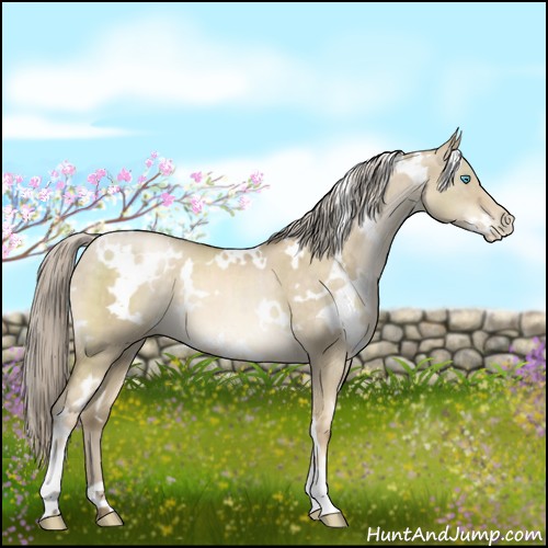 Horse Color:White Spotted Chocolate Palomino Pearl Dun Brindle 