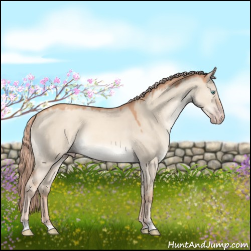 Horse Color:Gold Champagne Dun Sabino 
