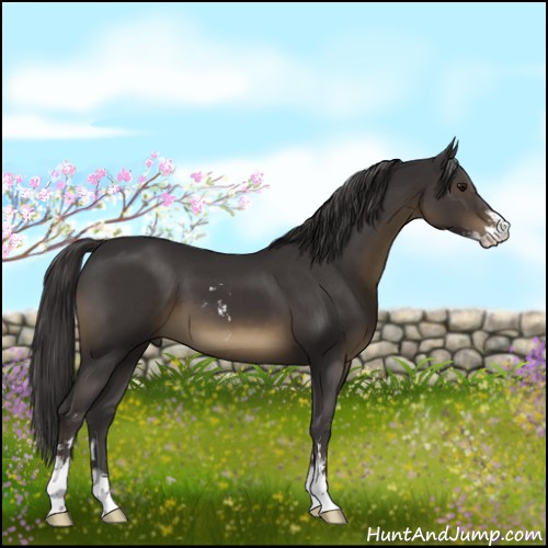 Horse Color:Smoky Black Sabino 