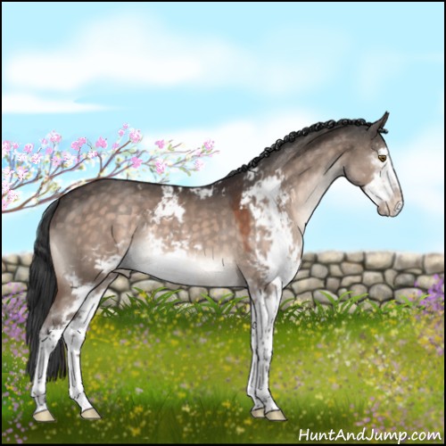 Horse Color:Brown Dun Mushroom Sabino 