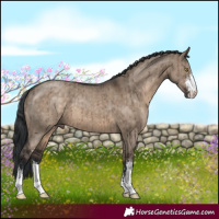 Horse Color:Brown Dun Sabino Brindle 
