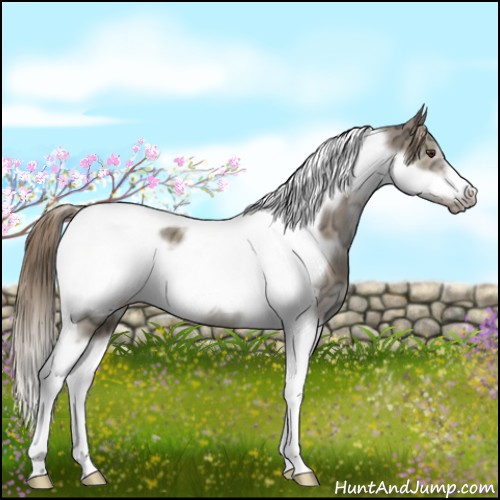 Horse Color:White Spotted Liver Red Dun Ice Tobiano Frame Rabicano 