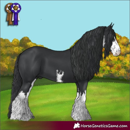 Horse Color:White Spotted Black 