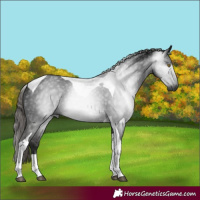 Horse Color:Gray Liver Chestnut Tobiano 