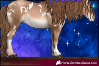 Horse Color:White Spotted Liver Chestnut Pearl 