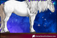 Horse Color:Brown Pearl Sabino Rabicano