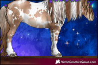 Horse Color:White Spotted Liver Chestnut Pearl 