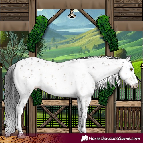 Horse Color:Brown Dun Sabino Brindle 