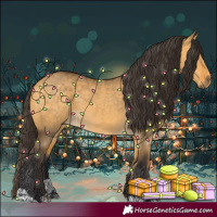 Horse Color:Buckskin Dun and Buckskin Dun