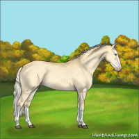 Horse Color:Palomino Dun Splash 