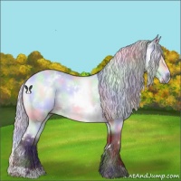 Horse Color:Nacre White Spotted Chocolate Silver Bay Chinchilla 