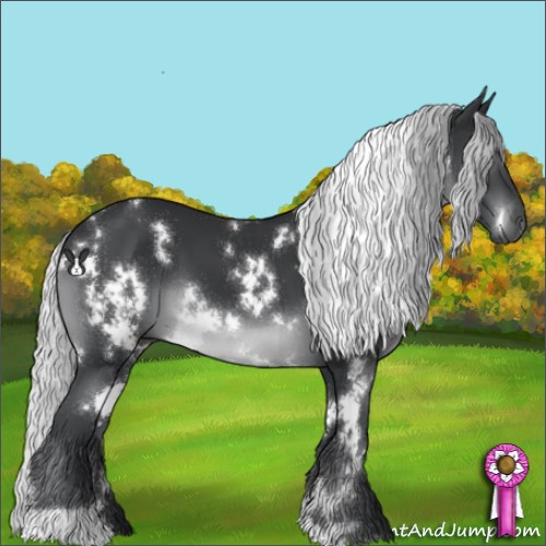 Horse Color:White Spotted Silver Black Chinchilla