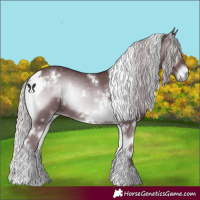 Horse Color:White Spotted Chocolate Silver Blue Onyx Chinchilla 