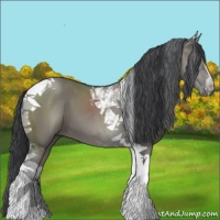 Horse Color:Grullo Tobiano 