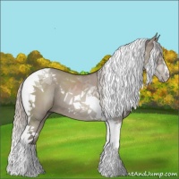 Horse Color:Silver Grullo Tobiano 
