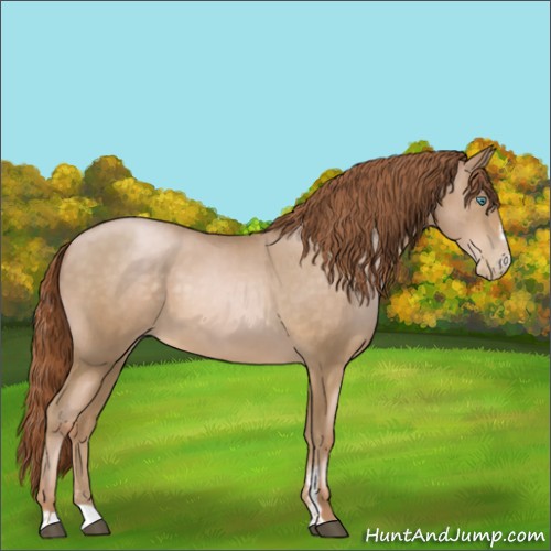 Horse Color:Smoky Black Pearl Sabino