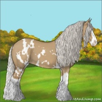 Horse Color:White Spotted Silver Smoky Grullo Splash 
