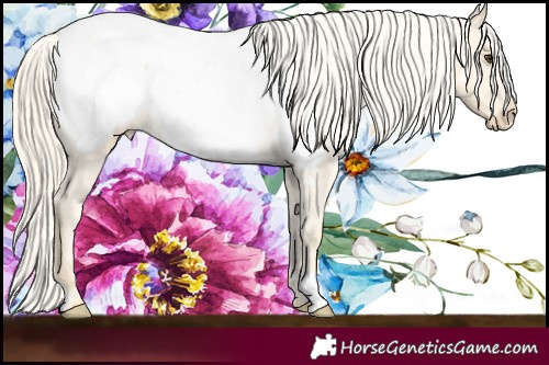Horse Color:Palomino Near Fewspot 