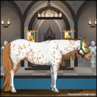 Horse Color:Chestnut Tobiano Blanket 