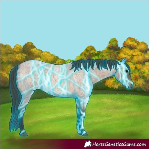 Horse Color:Thunderstruck Bay Roan 