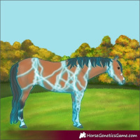 Horse Color:Thunderstruck Bay 