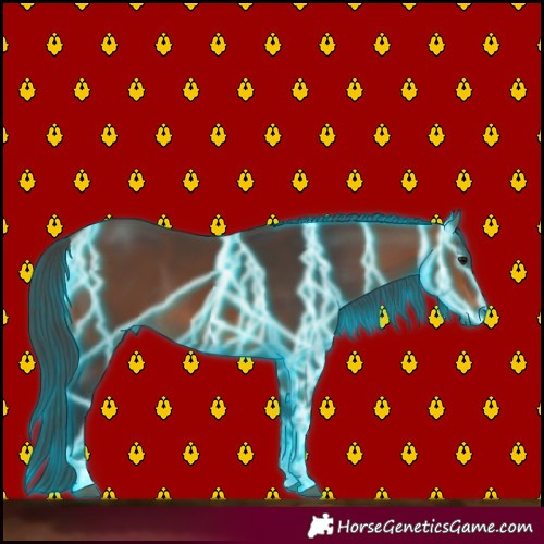 Horse Color:Thunderstruck Bay 