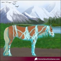 Horse Color:Thunderstruck Chestnut