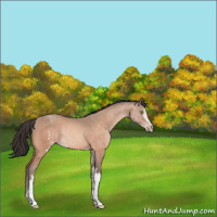Horse Color:White Spotted Amber Champagne 