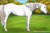 Horse Color:Liver Chestnut Sabino