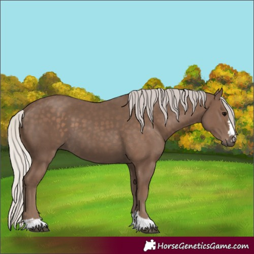 Horse Color:Silver Black 
