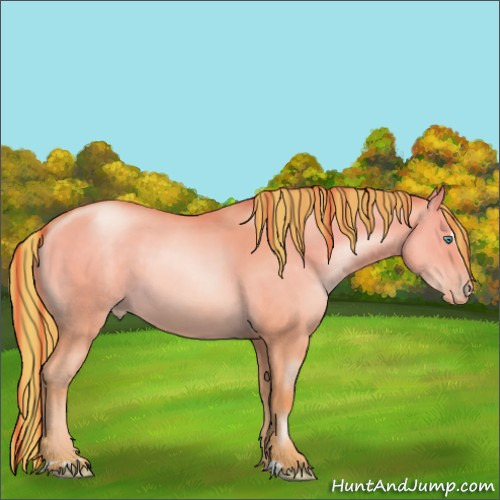 Horse Color:Painted Smoky Grullo Pearl Sabino 