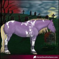 Horse Color:Painted Silver Grullo Tobiano 